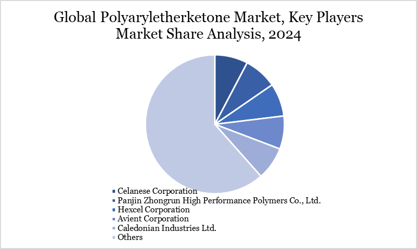 Polyaryletherketone Market key players