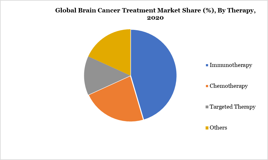 Brain Cancer Treatment Market, By Therapy