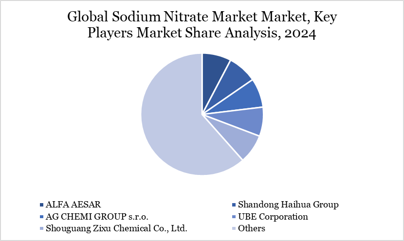 Sodium Nitrate Market Key Players