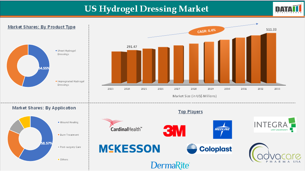 US Hydrogel Dressing Market 2025