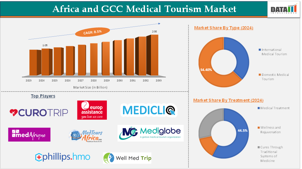 Africa and GCC Medical Tourism Market 2025
