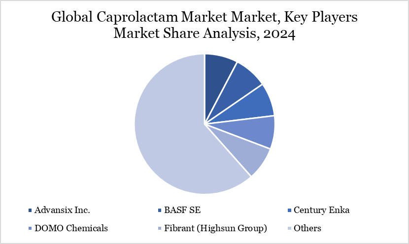 Caprolactam Market Key Players