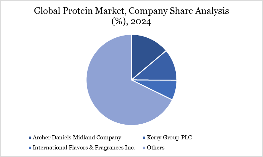 Protein Market Company Share Analysis