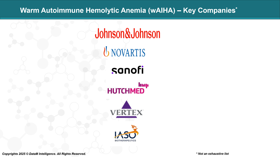 Warm Autoimmune Hemolytic Anemia - Key Companies