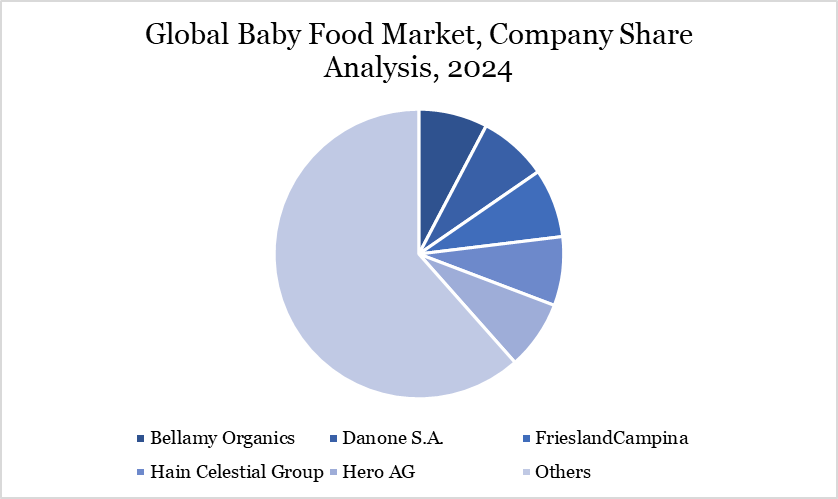Global Baby Food Market, Company Share Analysis, 2024