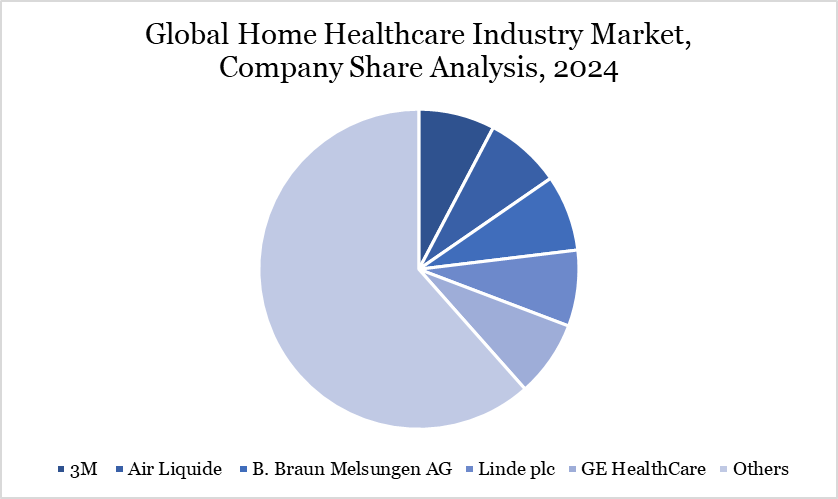 Global Home Healthcare Industry Market, Company Share Analysis, 2024