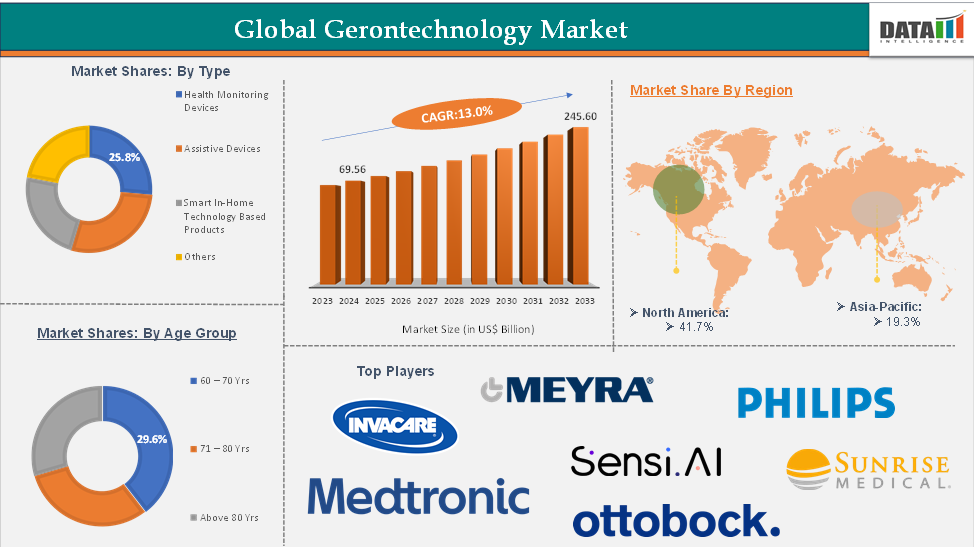 Gerontechnology Market 2025