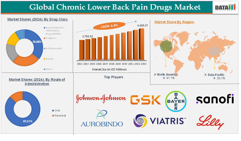 Chronic Lower Back Pain Drugs Market 2025