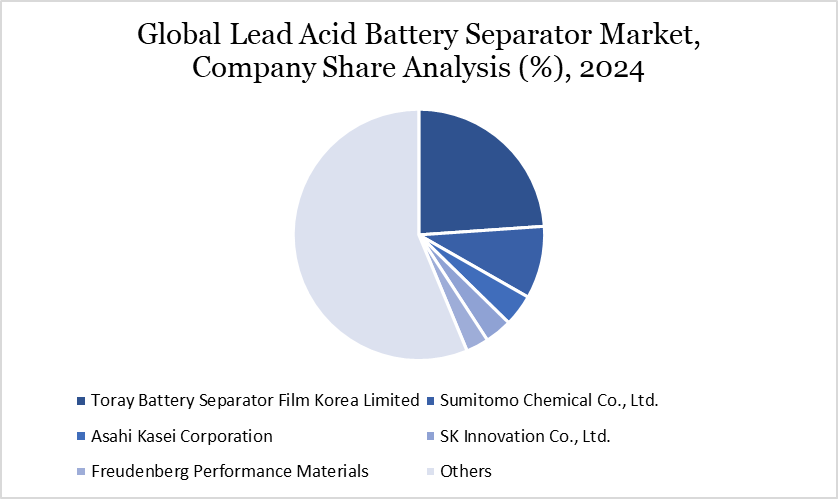 Lead Acid Battery Separator Market Company Share Analysis