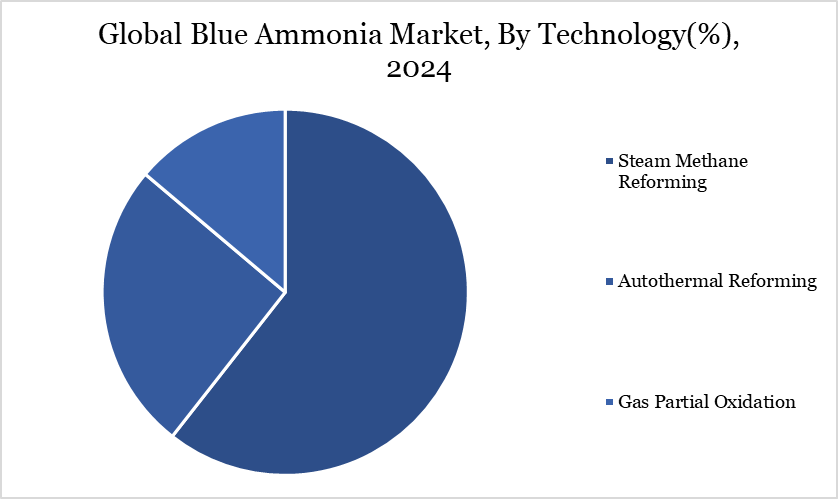 Blue Ammonia Market, By Technology