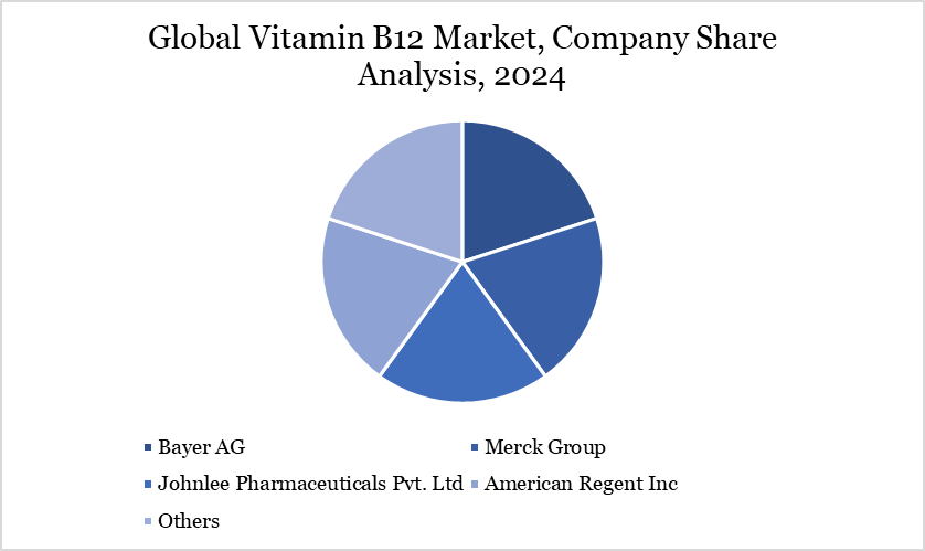 Vitamin B12 Market Company Share Analysis