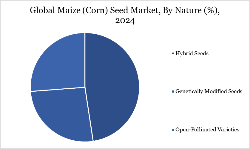 Global Maize (Corn) Seed Market, By Nature (%), 2024