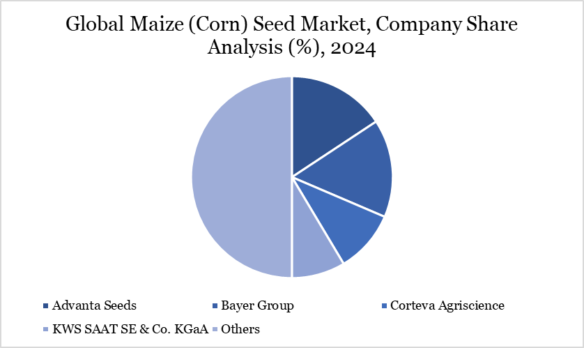 Global Maize (Corn) Seed Market, Company Share Analysis (%), 2024
