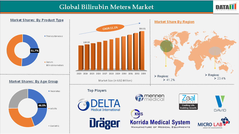 Bilirubin Meters Market 2025