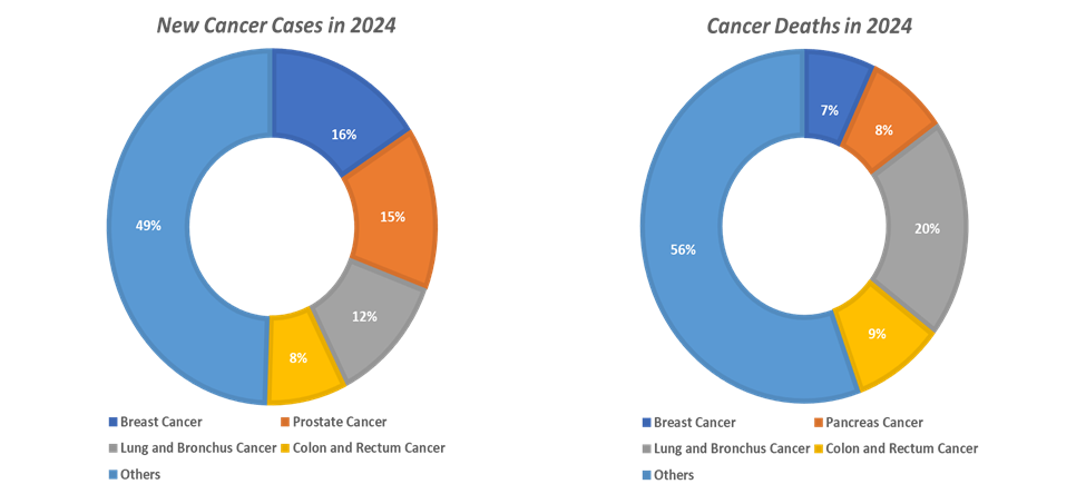 News Cancer Cases in 2024