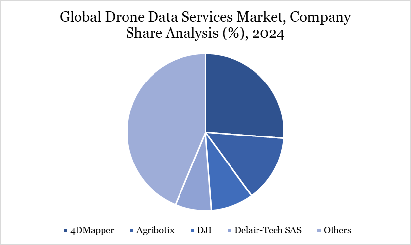 Drone Data Services Market Company Share Analysis