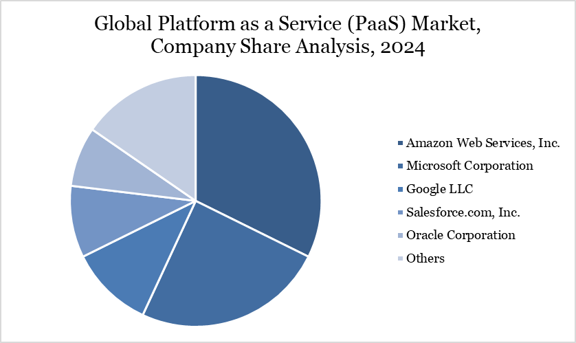 Platform as a Service (PaaS) Market Company Share Analysis