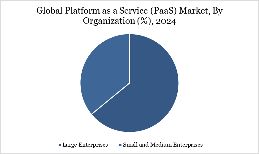 Platform as a Service (PaaS) Market, By Organization