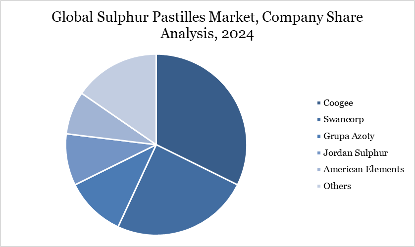 Sulphur Pastilles Market Company Share Analysis