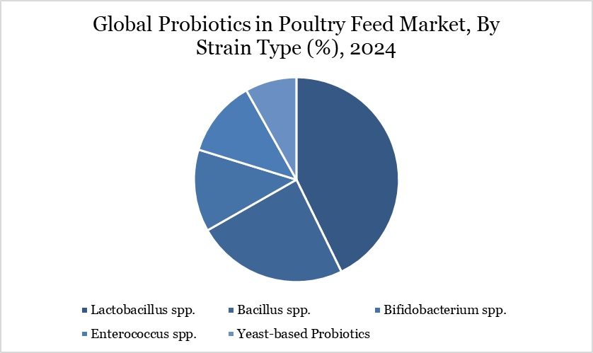 Probiotics in Poultry Feed Market, By Strain Type