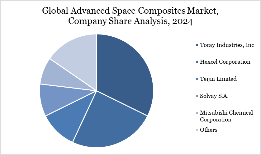 Advanced Space Composites Market Company Share Analysis
