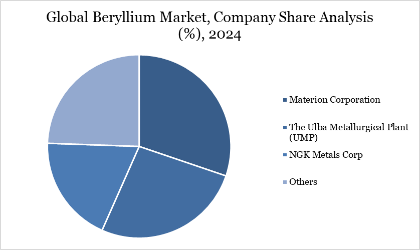 Beryllium Market Company Share Analysis