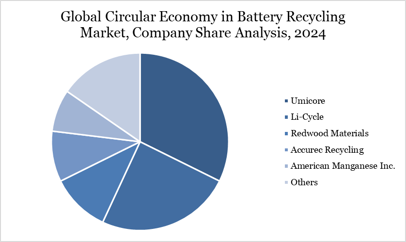 Global Circular Economy in Battery Recycling Market, Company Share Analysis, 2024