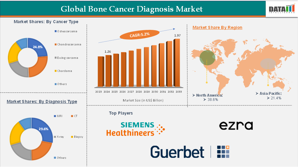 Bone Cancer Diagnosis Market Executive Summary