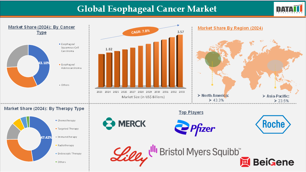 Global Esophageal Cancer Market: Executive Summary