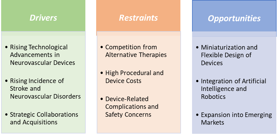 Neurovascular Devices Market Dynamics