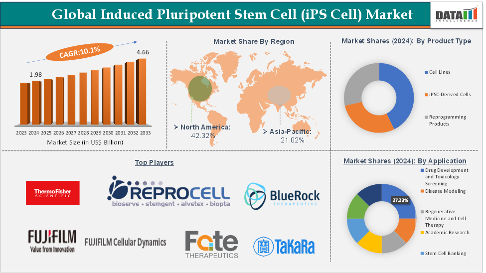 Induced Pluripotent Stem Cell (iPS Cell) Market Executive Summary