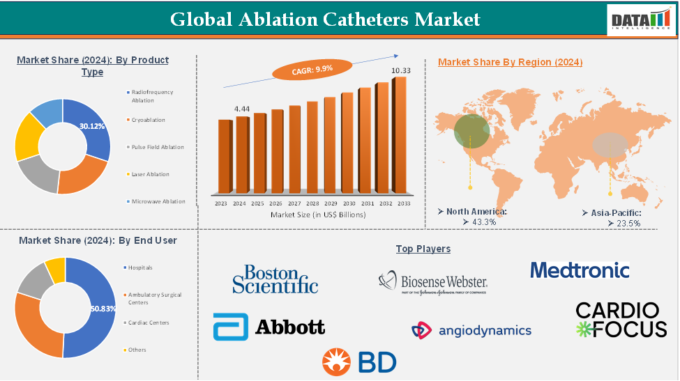 Global Ablation Catheters Market: Executive Summary