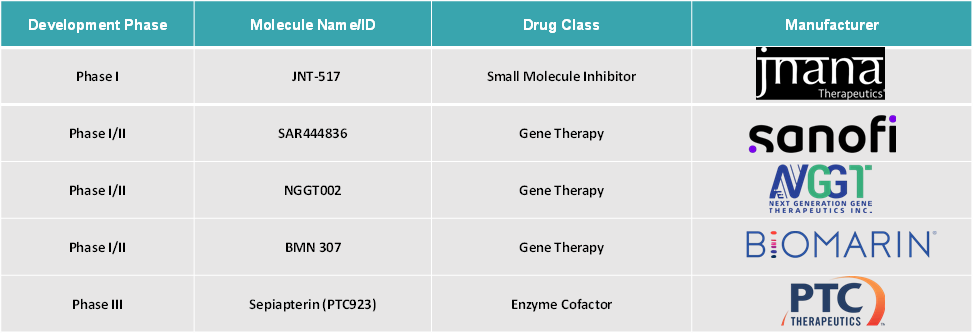 Global Phenylketonuria Treatment Market Dynamics: Pipeline Analysis