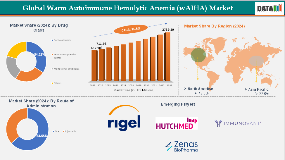 Global Warm Autoimmune Hemolytic Anemia (wAIHA) Market: Executive Summary