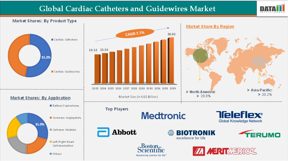Global Cardiac Catheters and Guidewires Market: Executive Summary