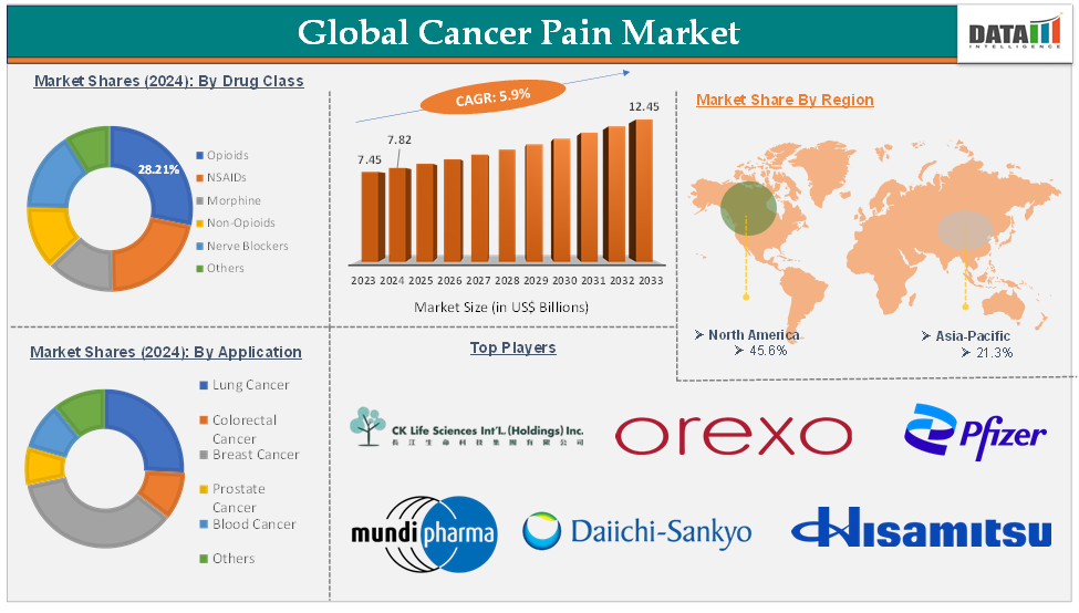 Global Cancer Pain Market – Executive Summary 