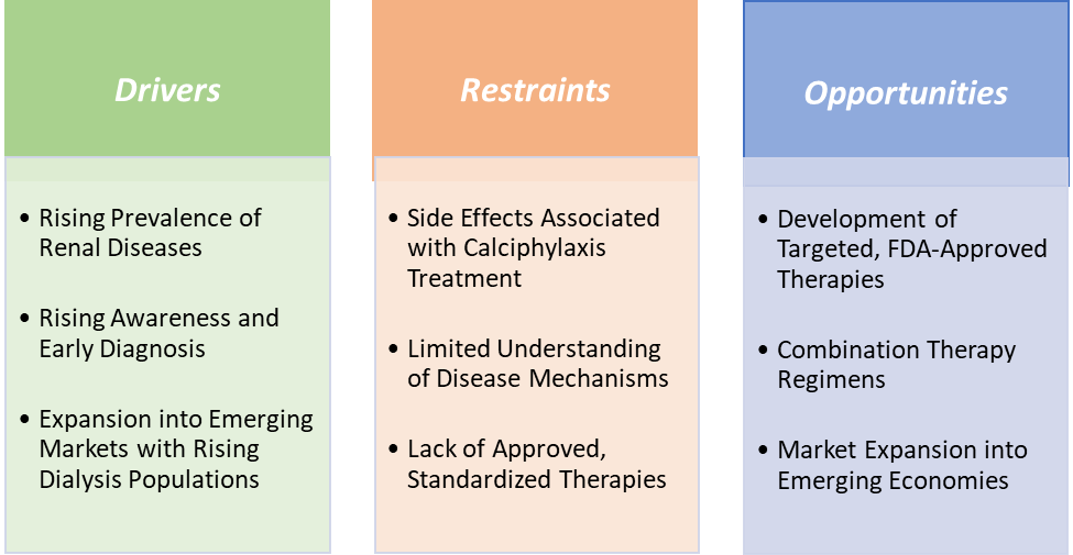Calciphylaxis Treatment Market Dynamics