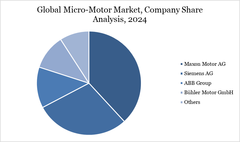 Micro Motor Market Company Share Analysis