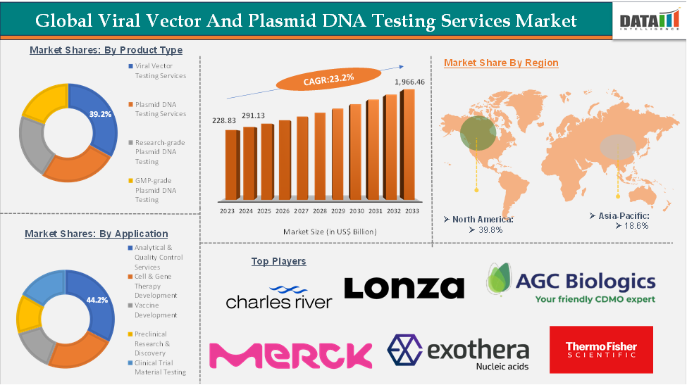 Global Viral Vector and Plasmid DNA Testing Services Market: Executive Summary