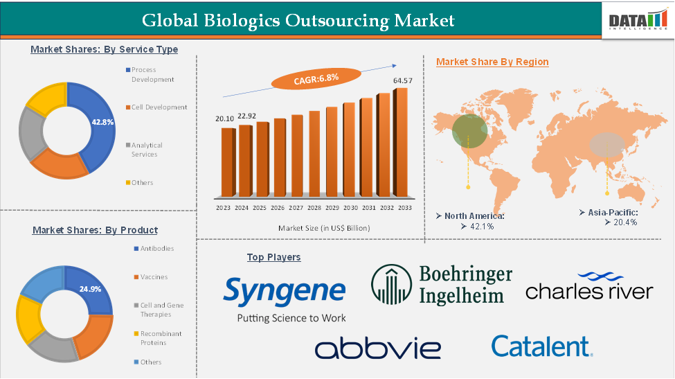 Global Biologics Outsourcing Market: Executive Summary