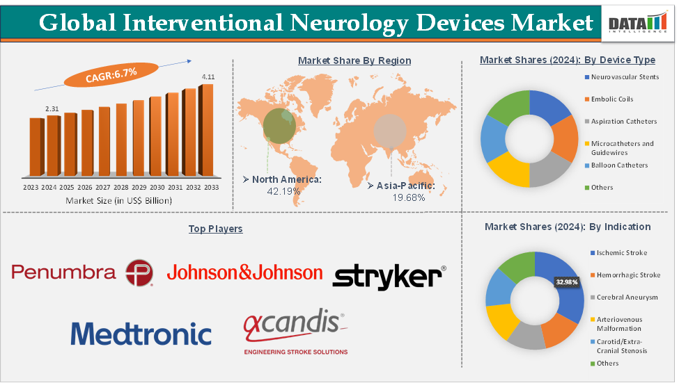Interventional Neurology Devices Market Executive Summary