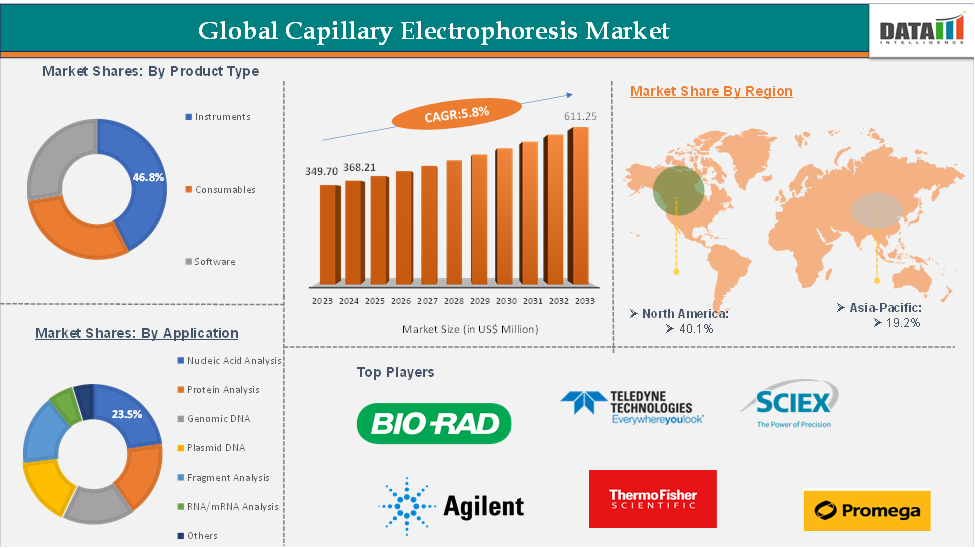 Global Capillary Electrophoresis Market: Executive Summary