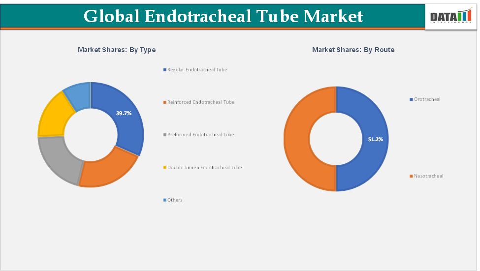 Endotracheal Tube Market, By Type & By Route