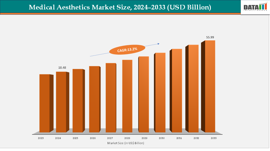 Medical Aesthetics Market Size, 2024–2033 (USD Billion)