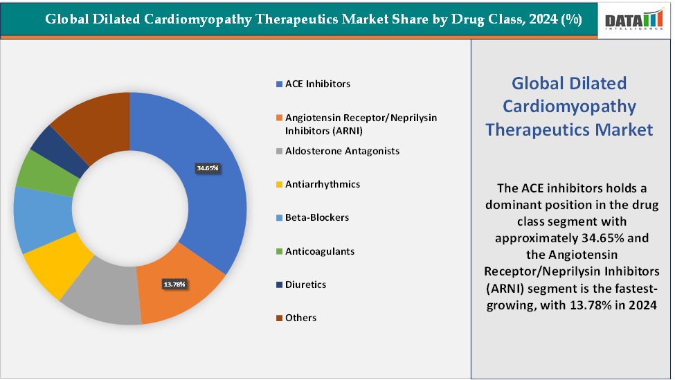 Dilated Cardiomyopathy Therapeutics Market, Segment Analysis by Drug Class,2024(%)