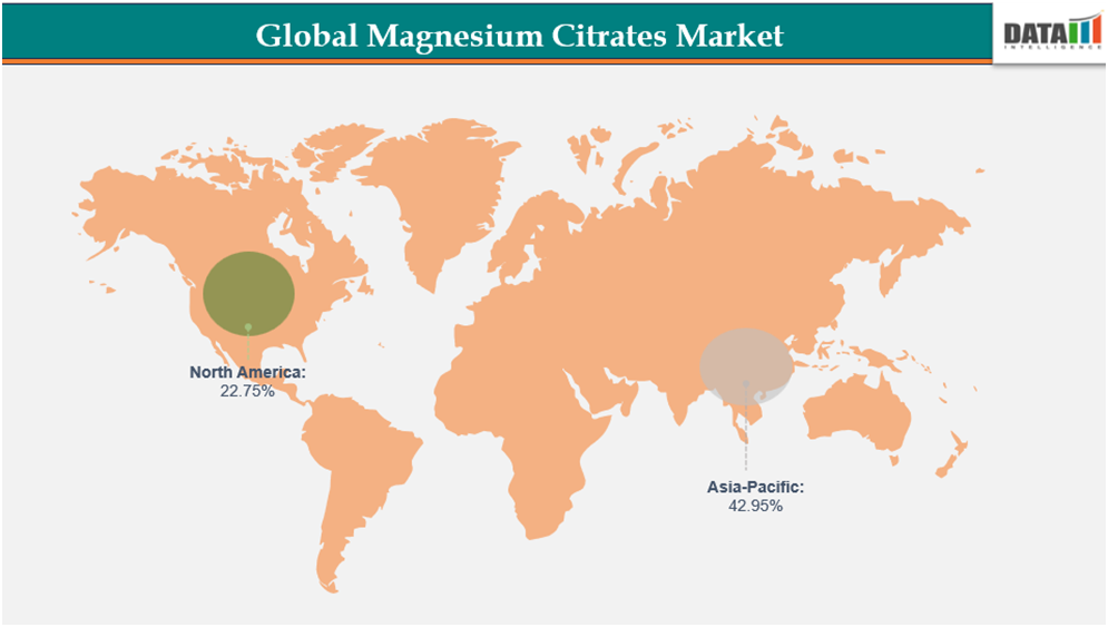 global magnesium citrates market ||datam intelligence.com