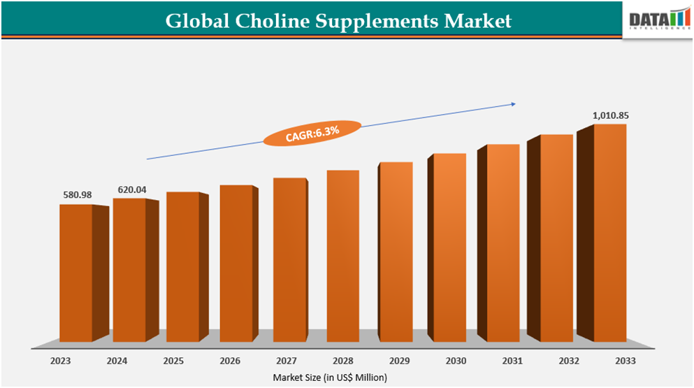 global choline supplements market size 2023-2033