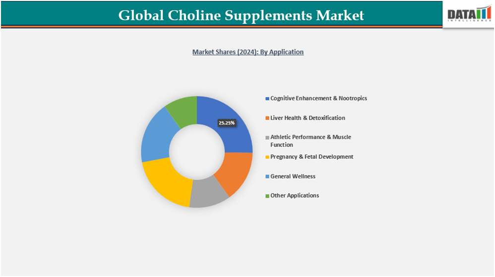 global choline supplements market shares(2024) by application||datam intelligence.com