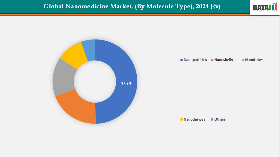 Nanomedicine Market Segmentation Analysis, By Molecule Type
