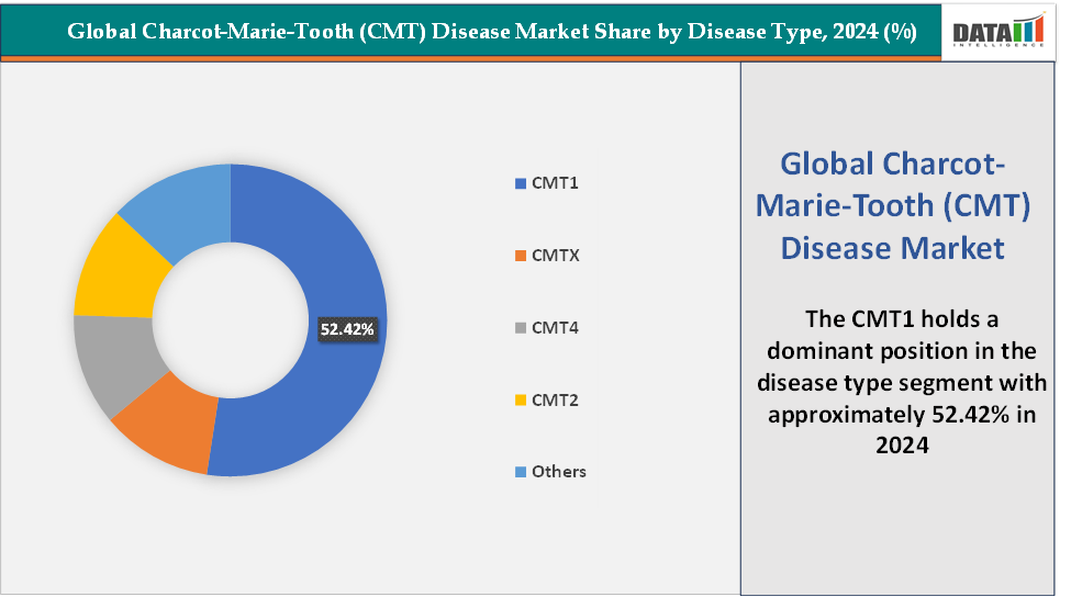 Charcot-Marie-Tooth (CMT) Disease Market Segment Analysis, By Disease Type, 2024 (%)